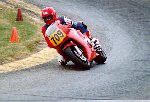 Dave - Grattan